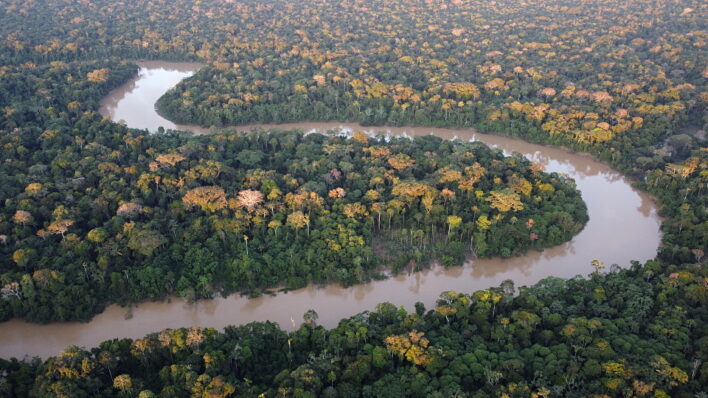 Velkolepá Amazonie – tajemství pralesa